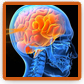 web design and business marketing