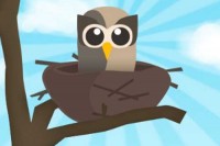 HootSuite for twitter automation