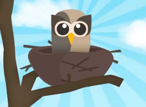HootSuite for twitter automation